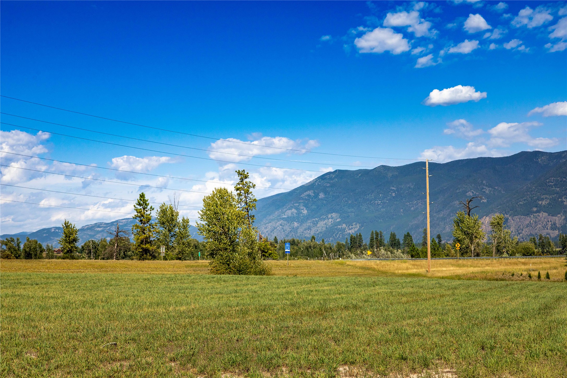 Open grassy parcel with scattered trees and a mountain range beneath a bright blue sky.