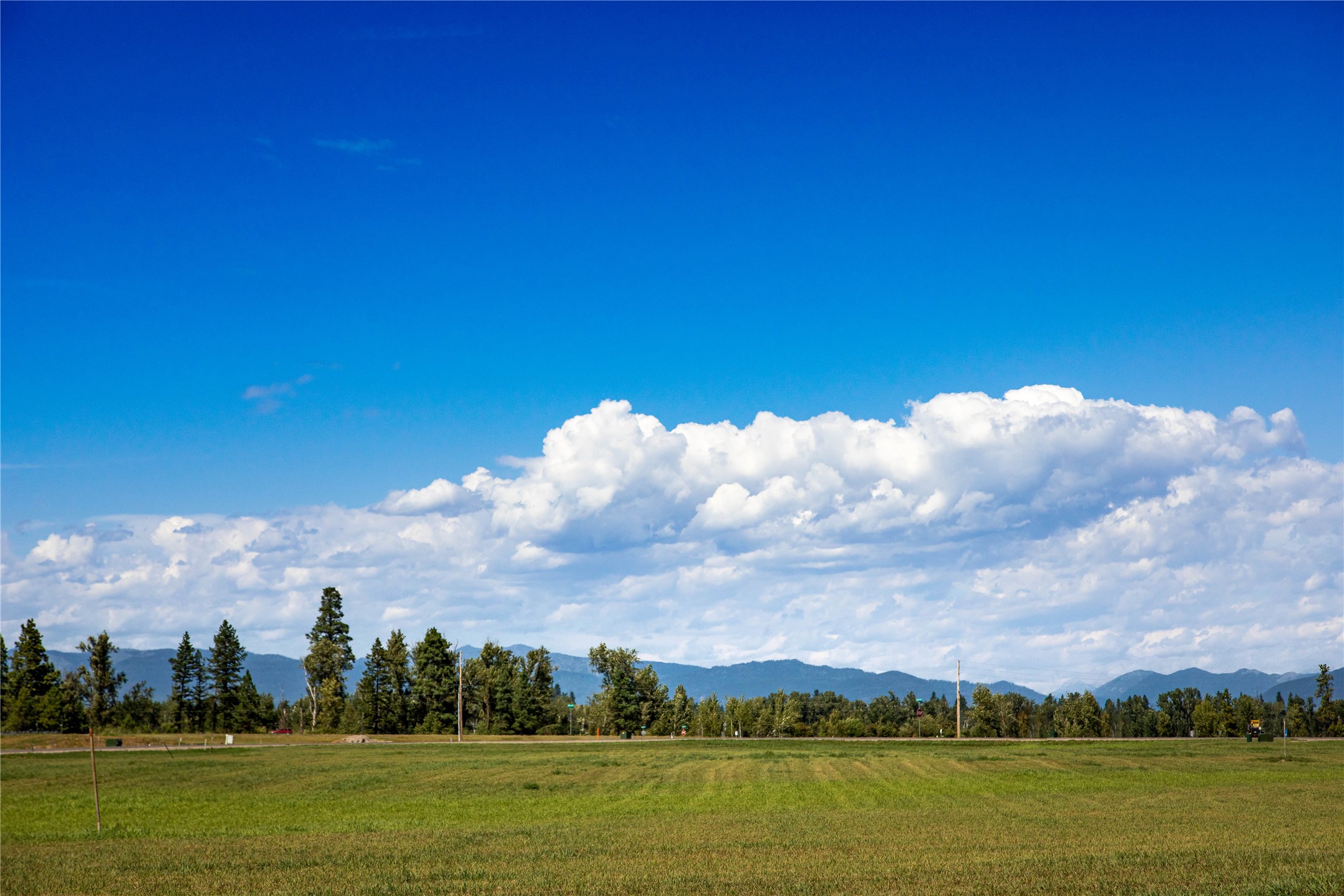 446 Charlotte Peak Dr