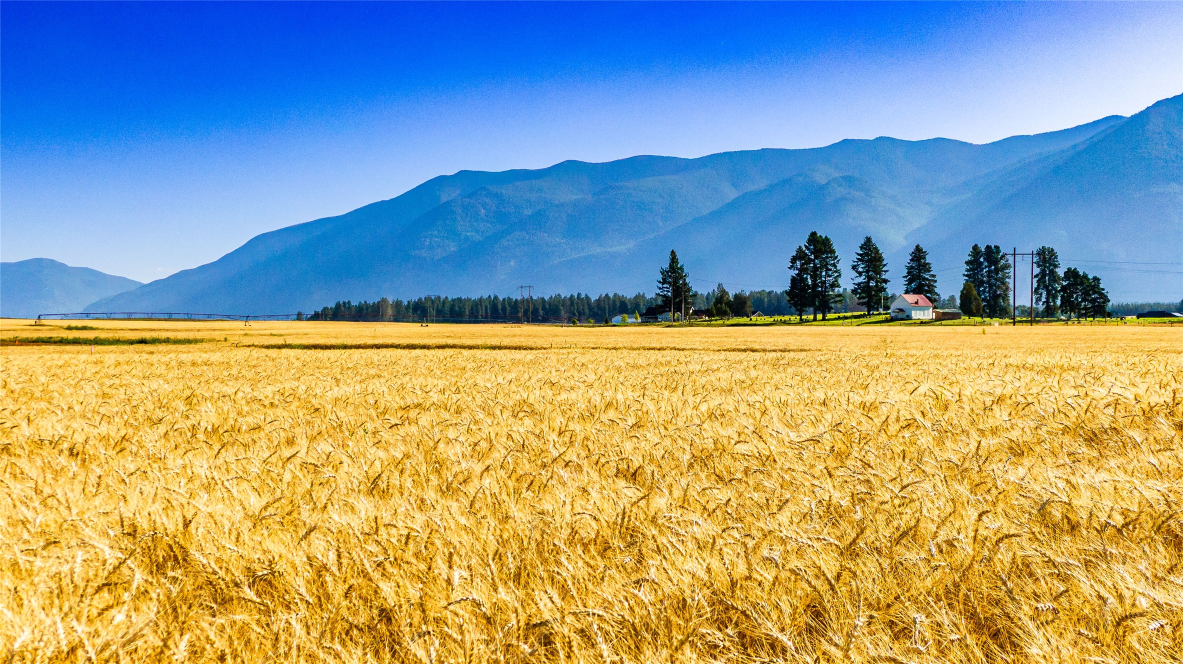 2053 Homestead Trail