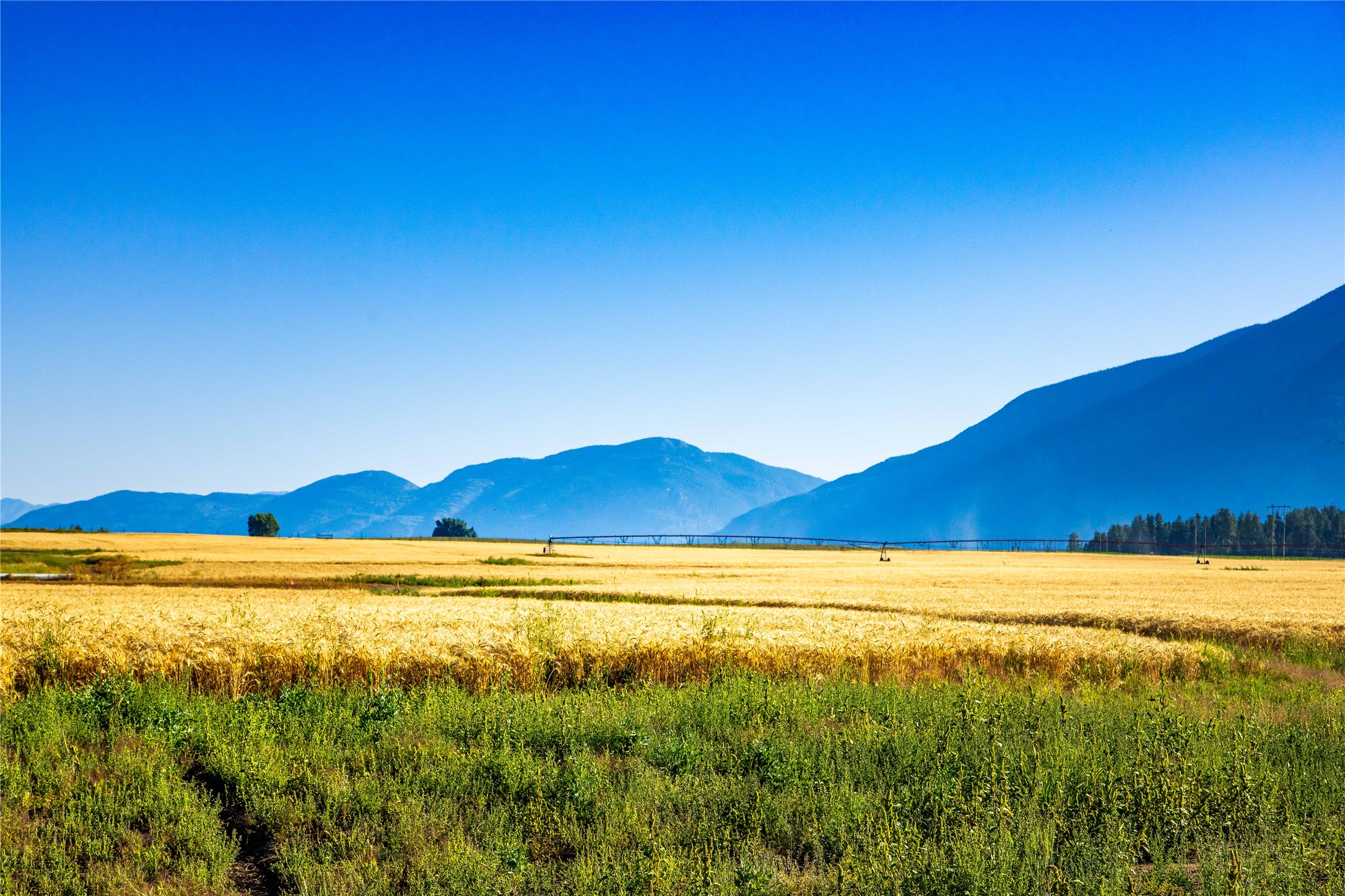 2053 Homestead Trail