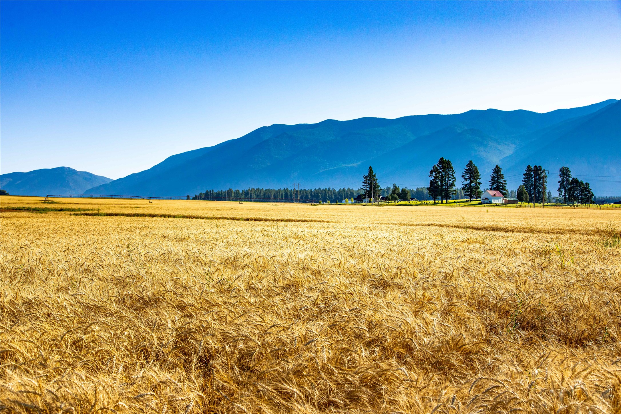 2053 Homestead Trail