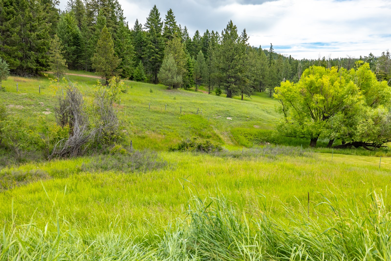 1129 Bierney Creek Road