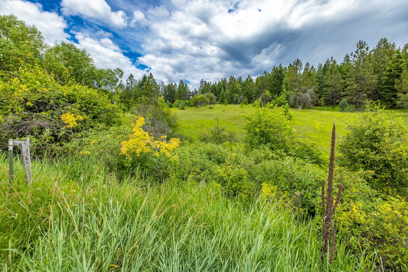 1129 Bierney Creek Road