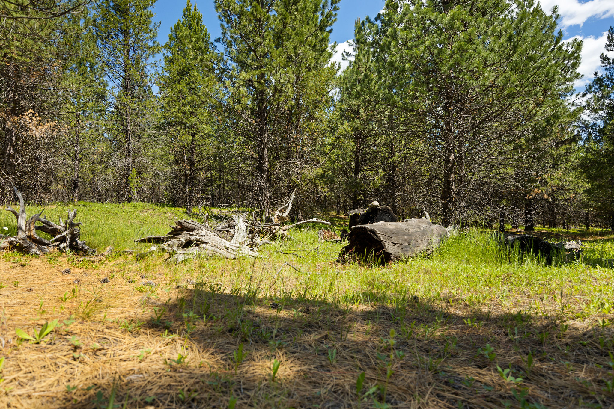9295 Lost Prairie Road