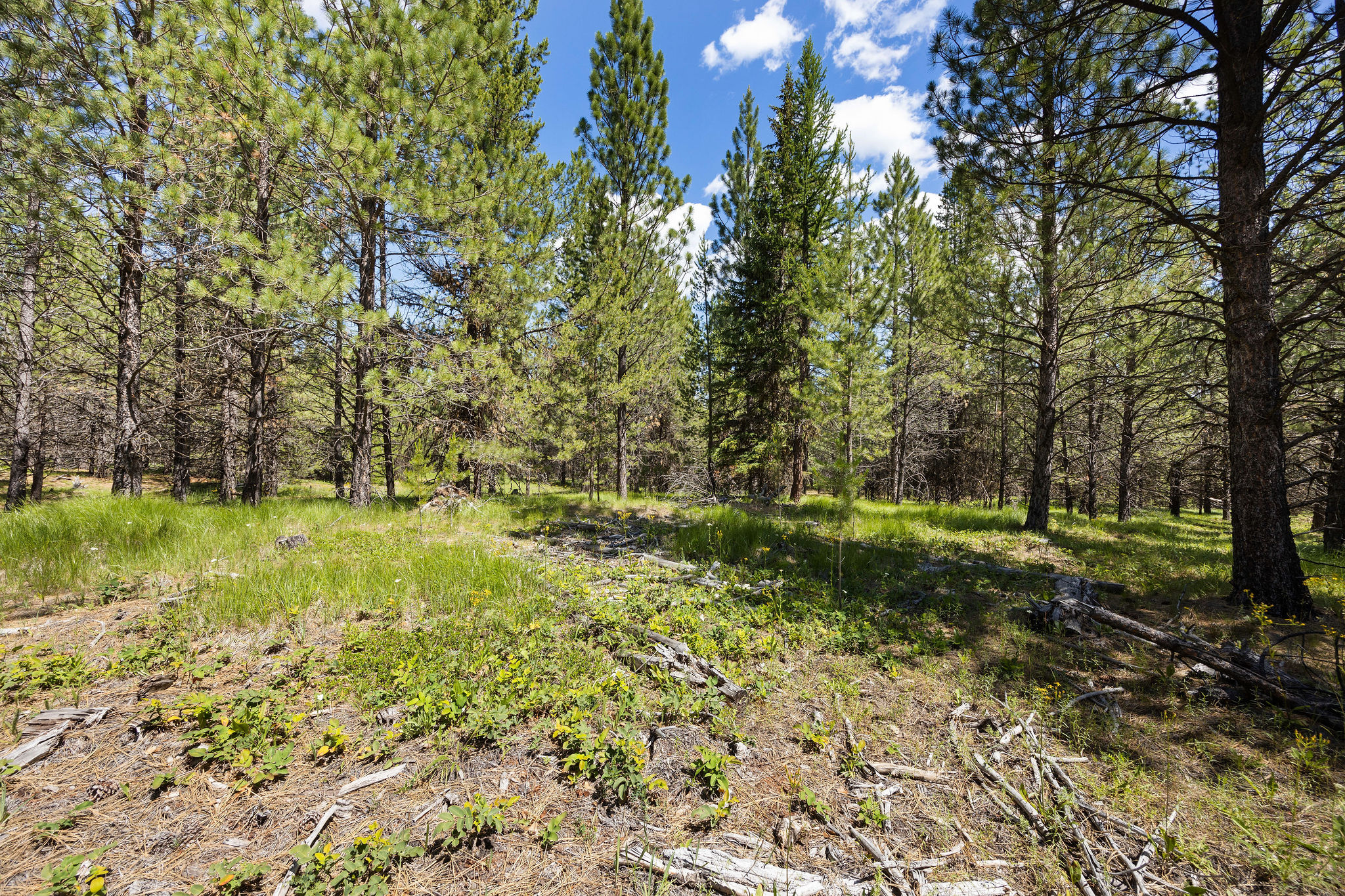 9295 Lost Prairie Road