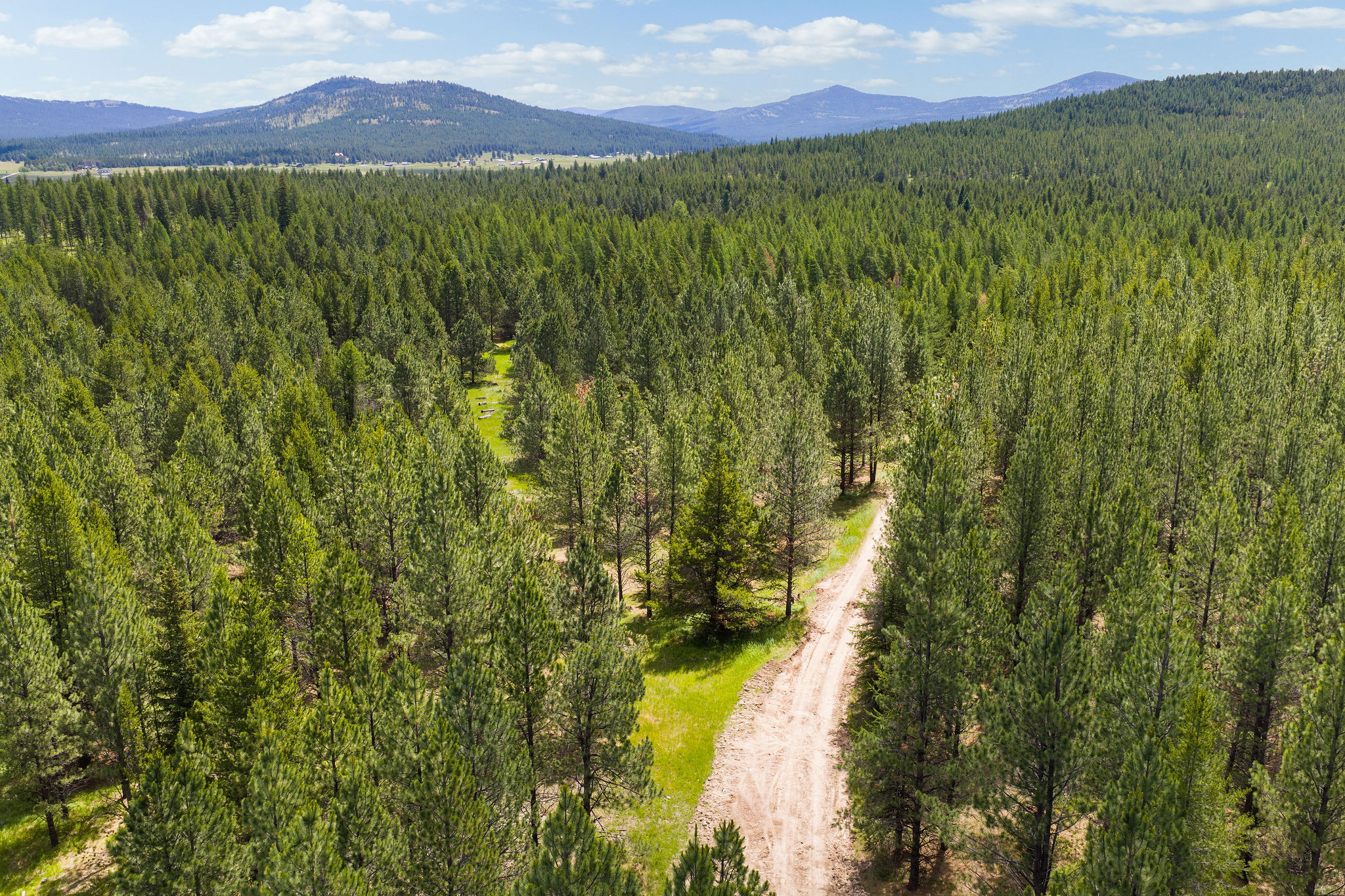 9295 Lost Prairie Road