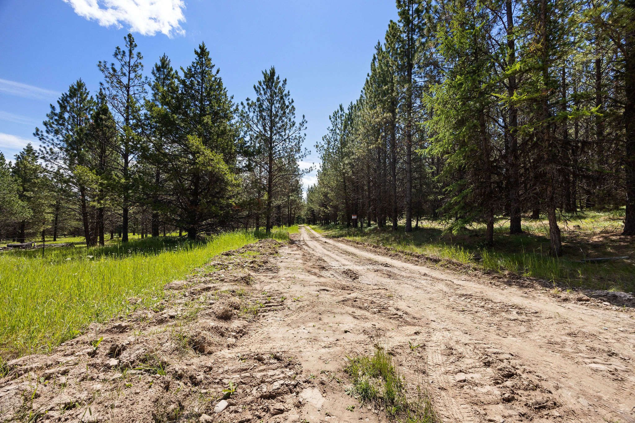 9295 Lost Prairie Road