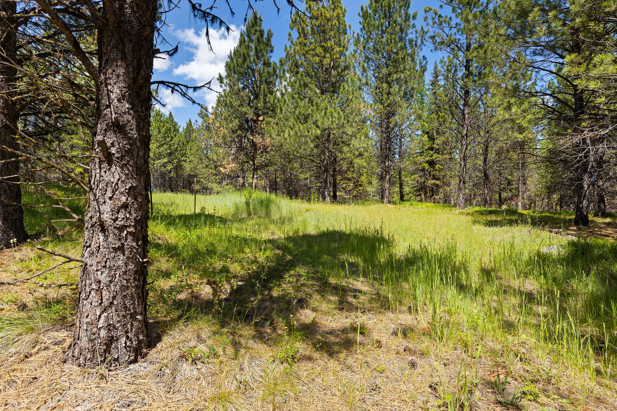 9295 Lost Prairie Road