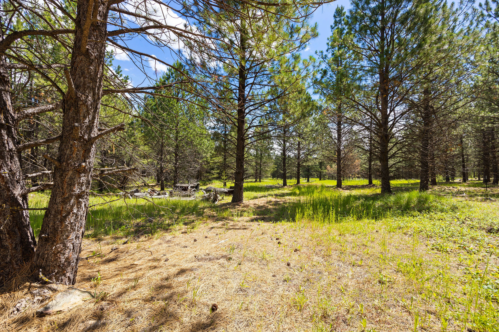 9295 Lost Prairie Road
