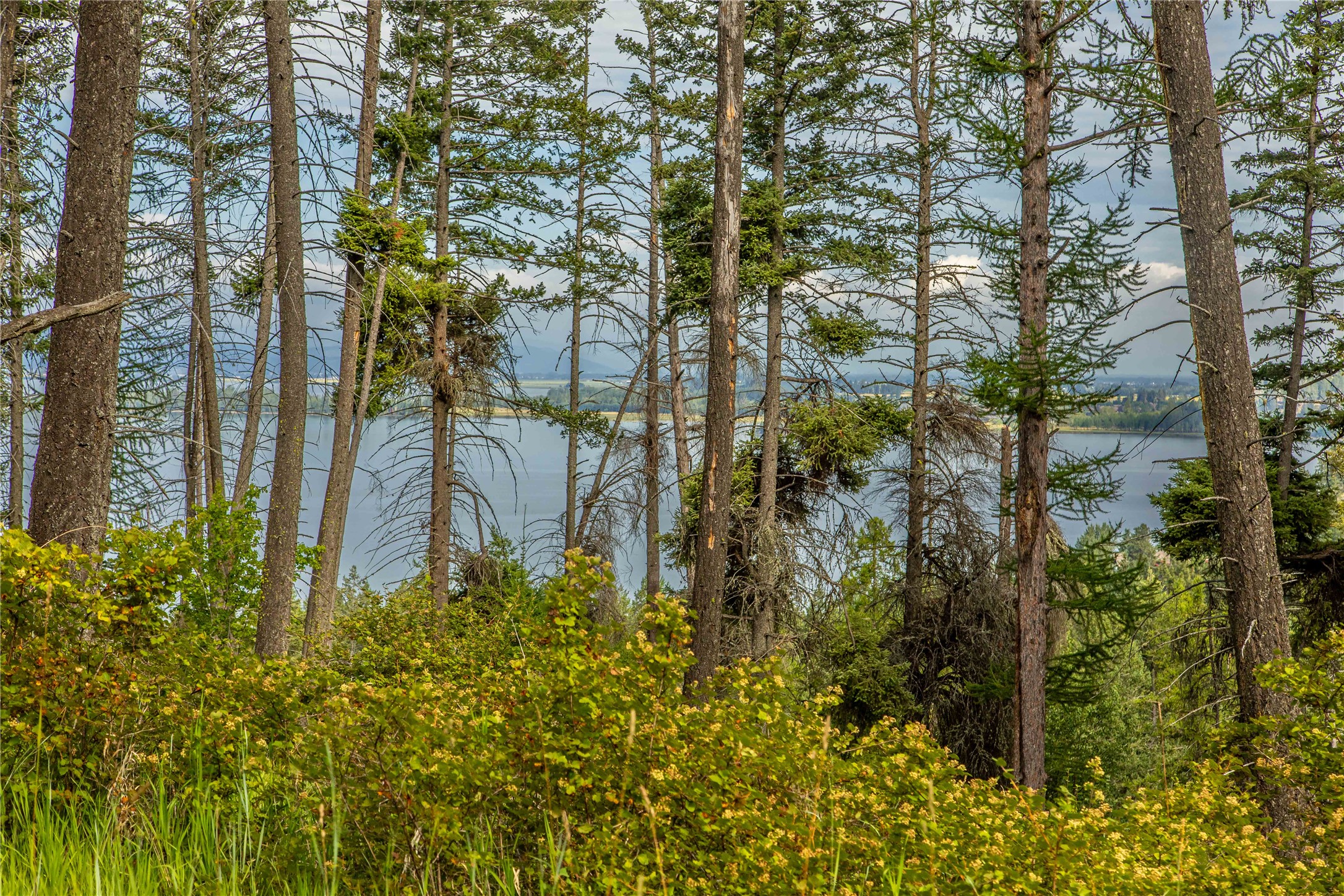 338 Flathead Lodge Road