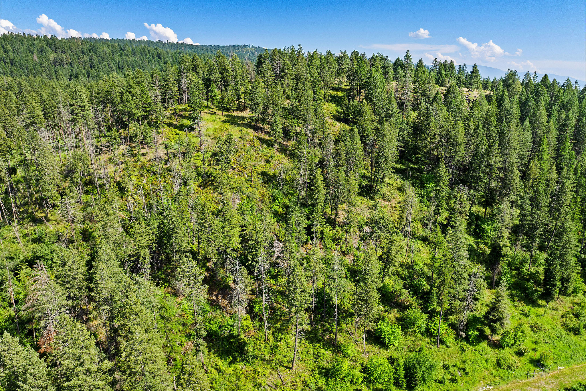 338 Flathead Lodge Road