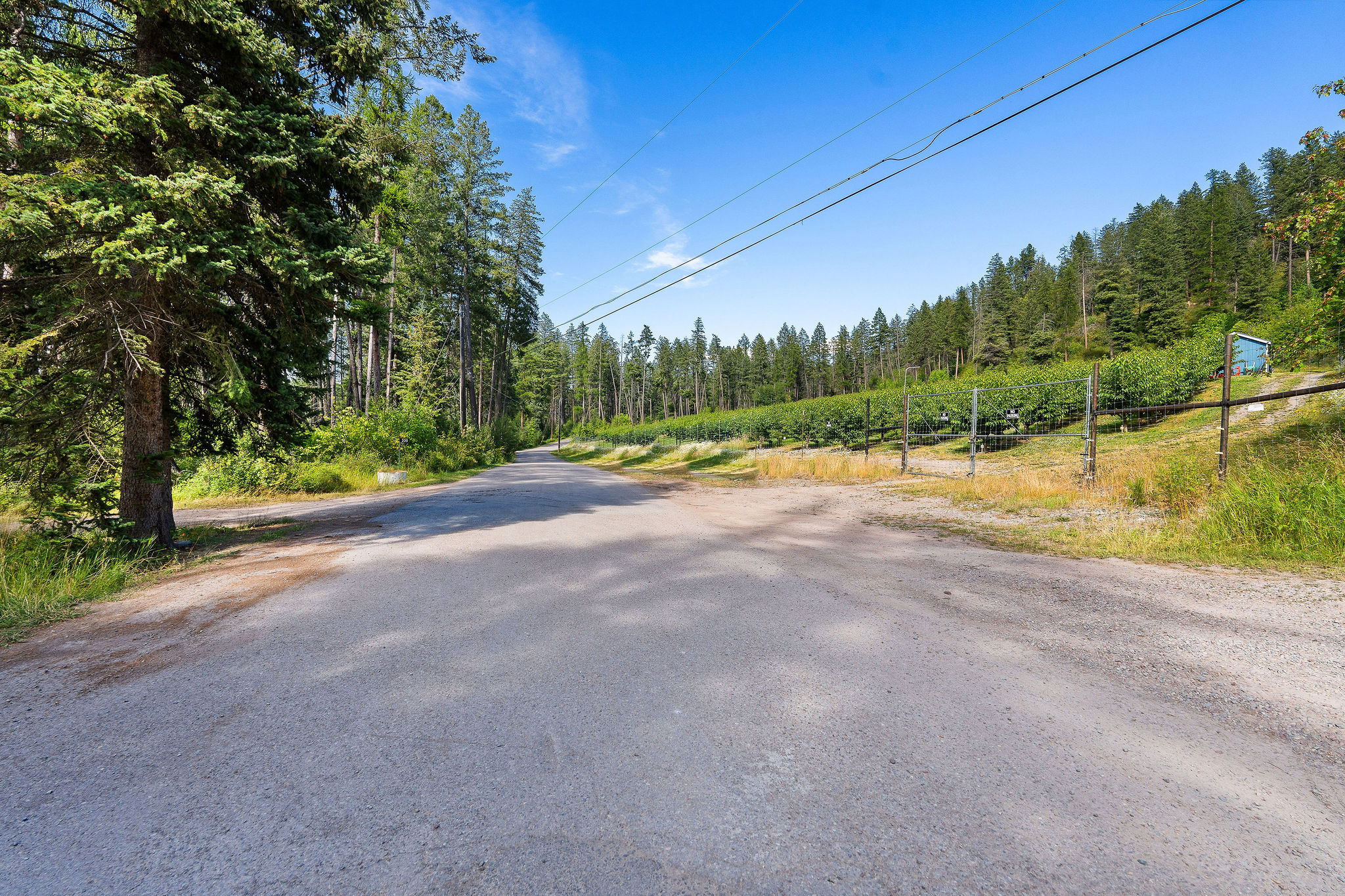 338 Flathead Lodge Road
