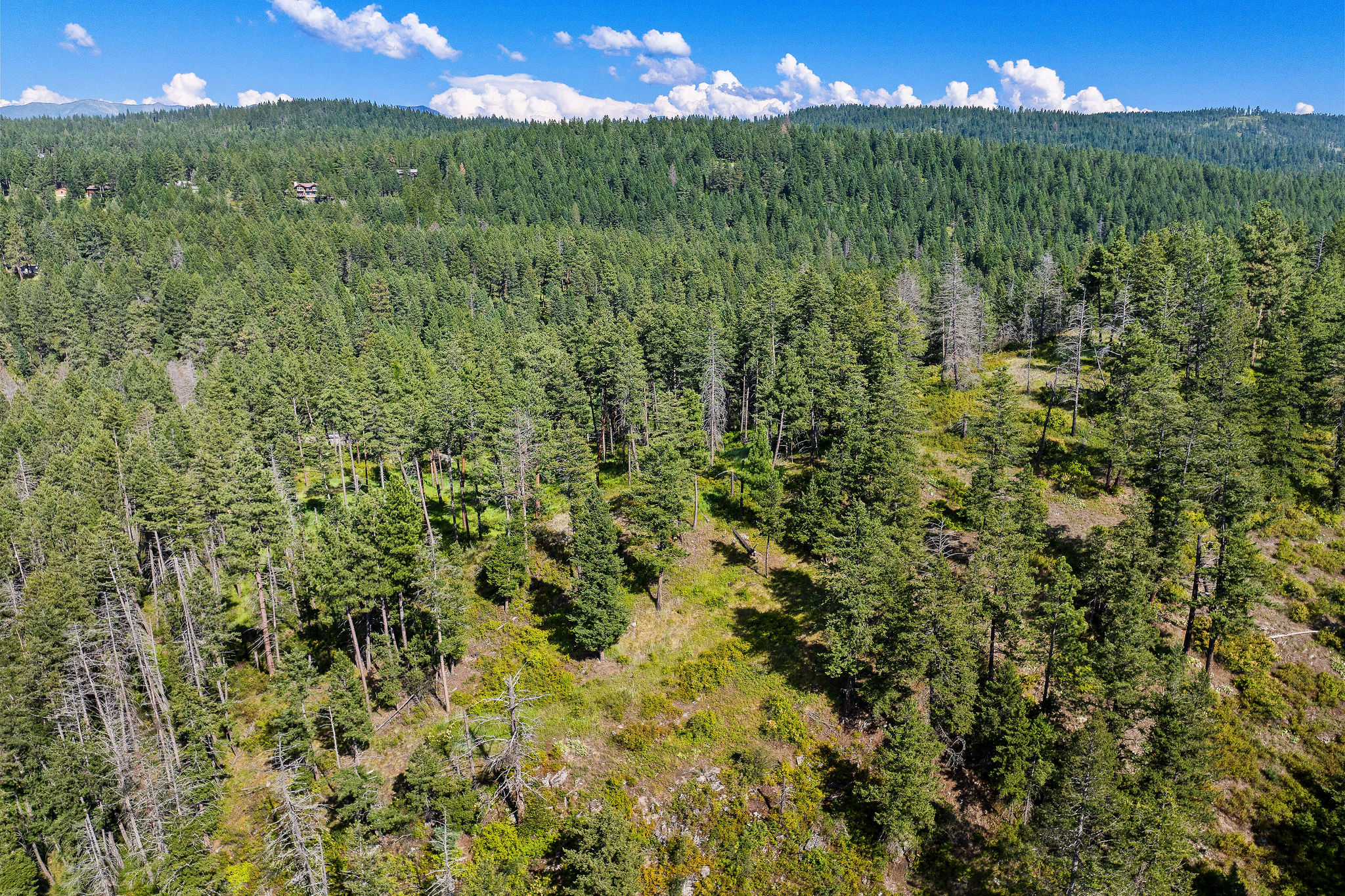 338 Flathead Lodge Road
