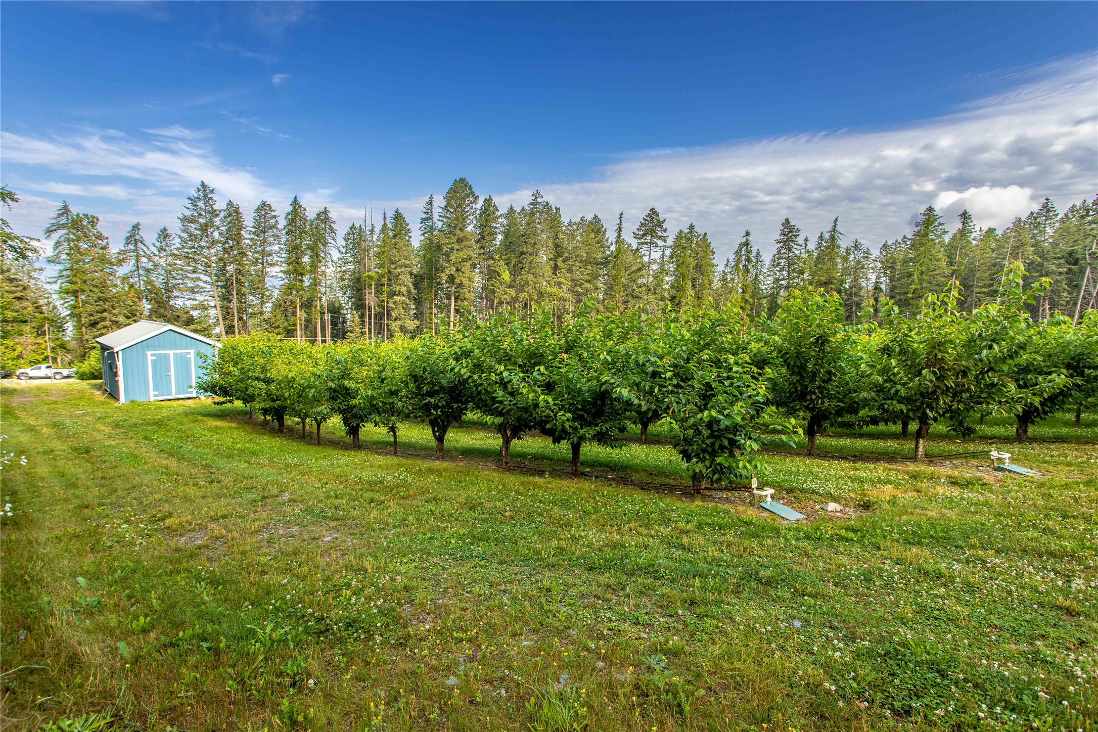 338 Flathead Lodge Road