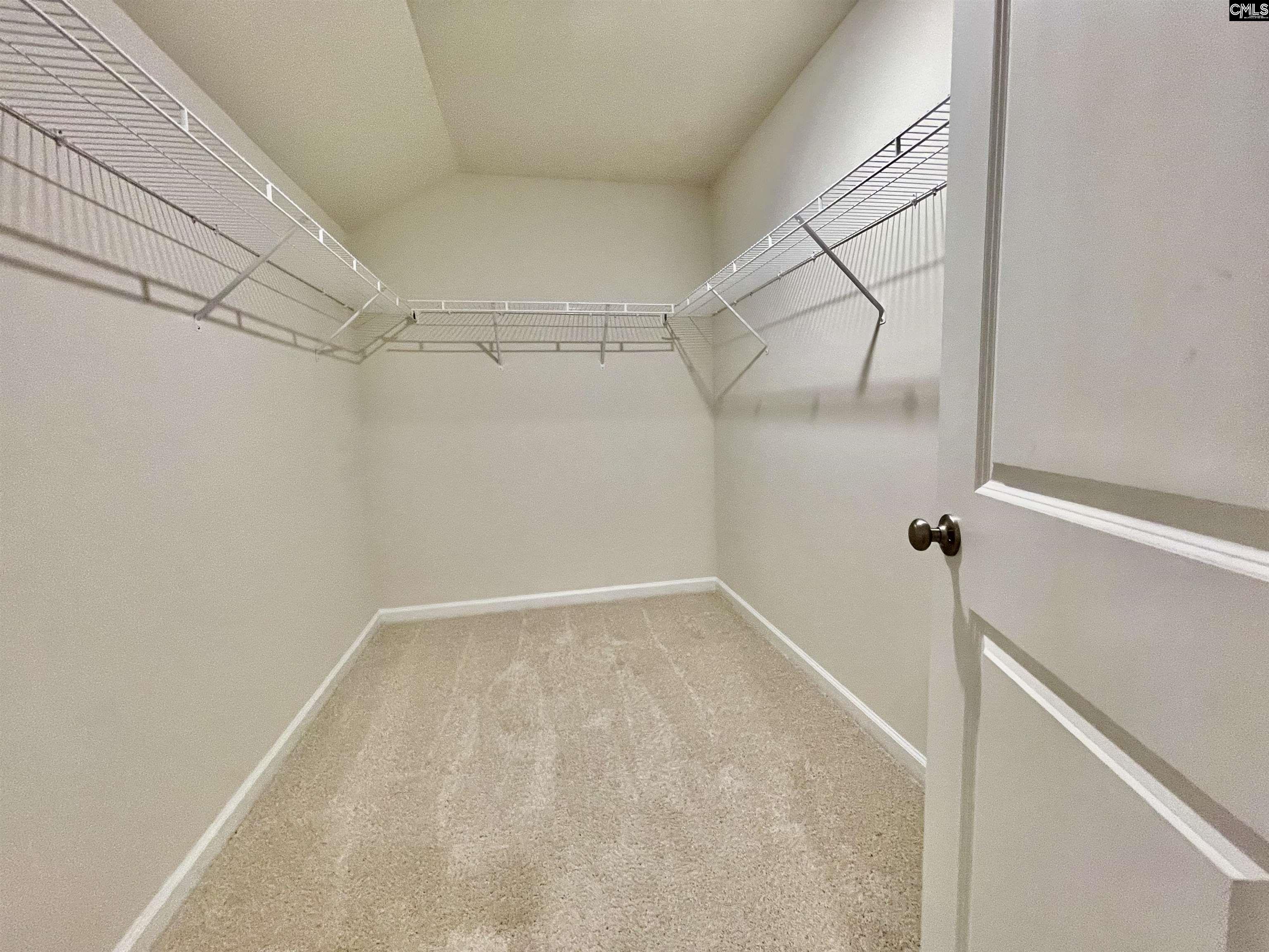 605 Bronze Fantail Run