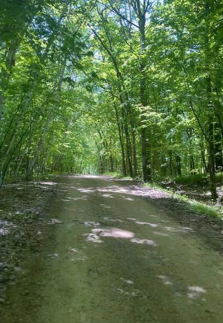 19466 Peninsula Trail