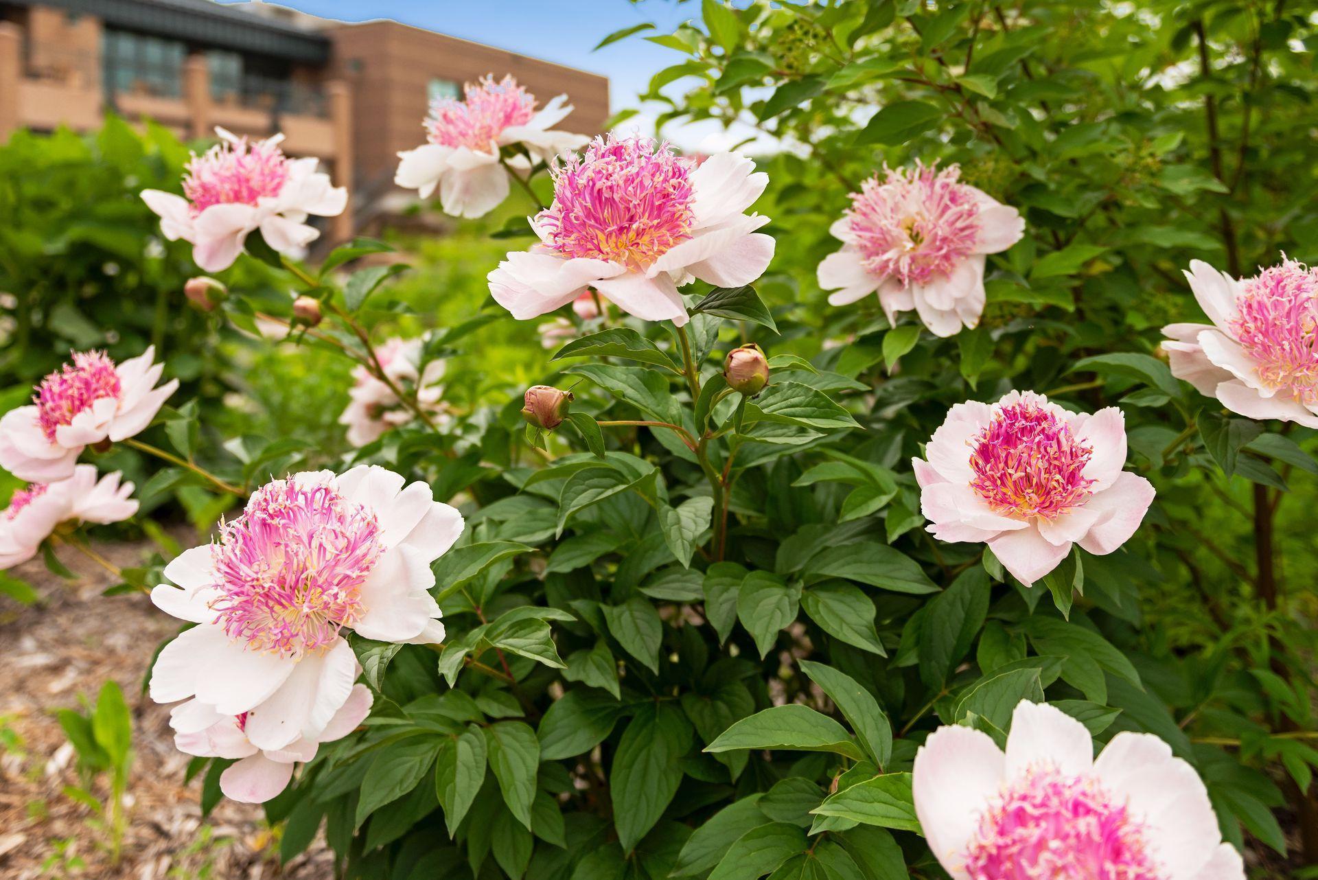 1485 Kingsview Lane N