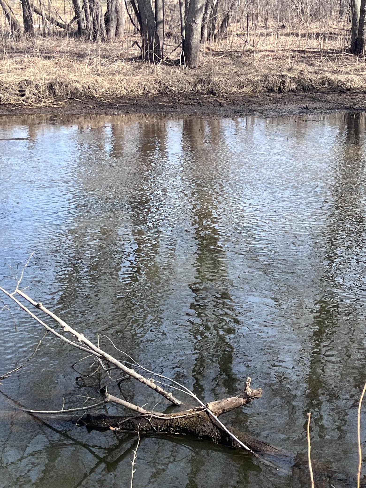 50828 Tradesman Road