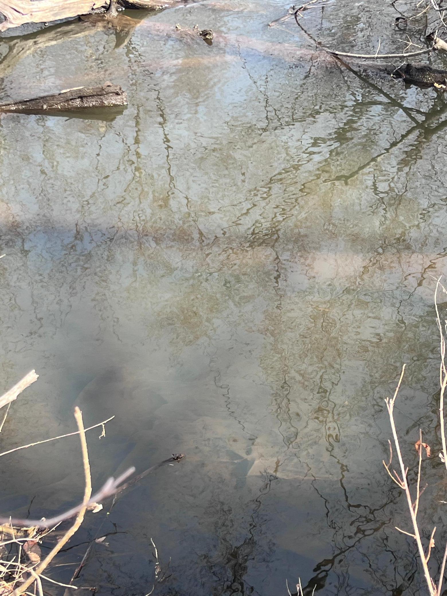 50828 Tradesman Road