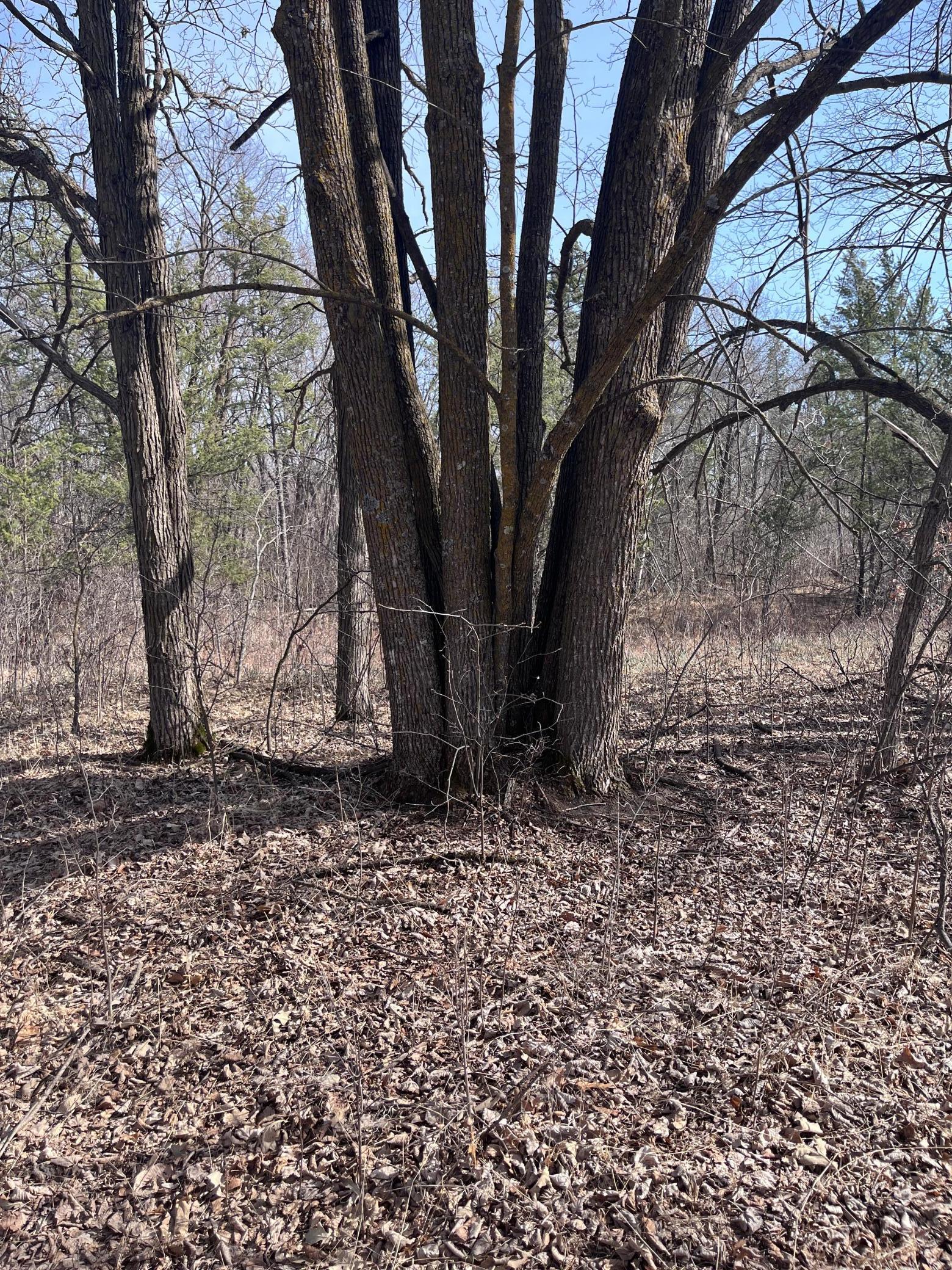 50828 Tradesman Road