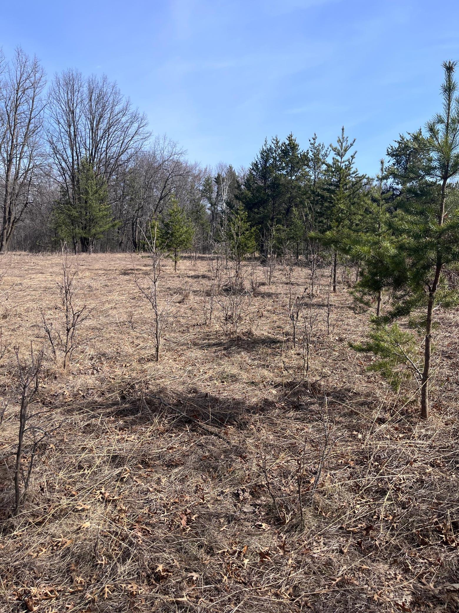 50828 Tradesman Road