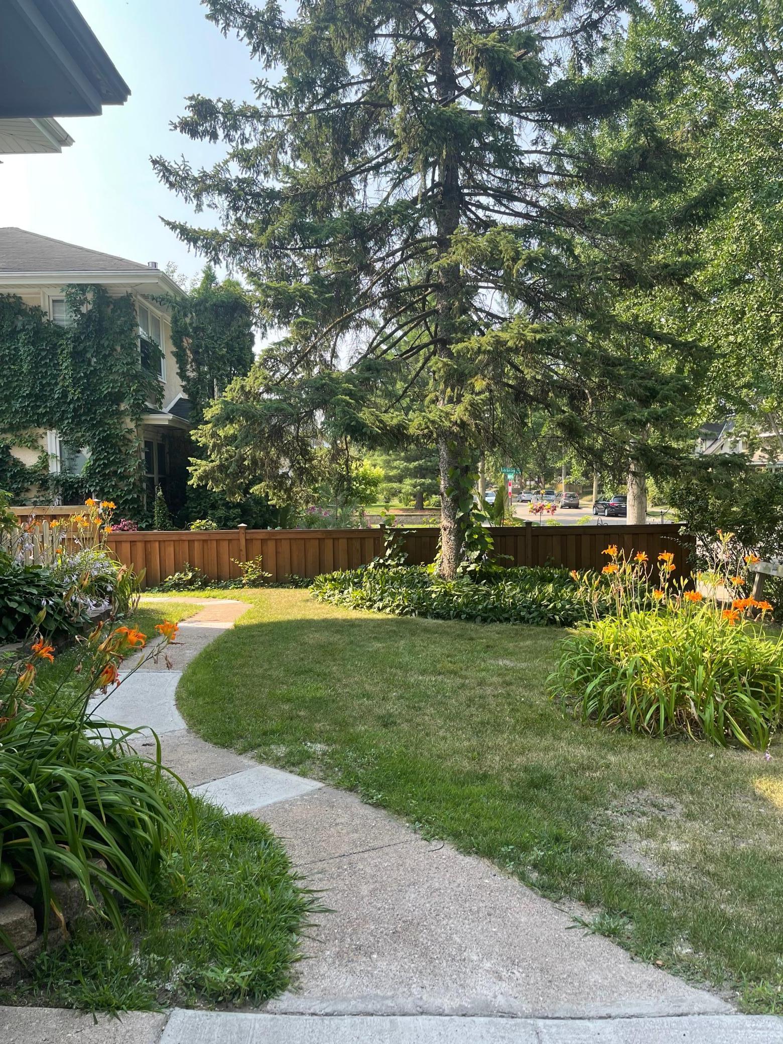 258 Macalester Street