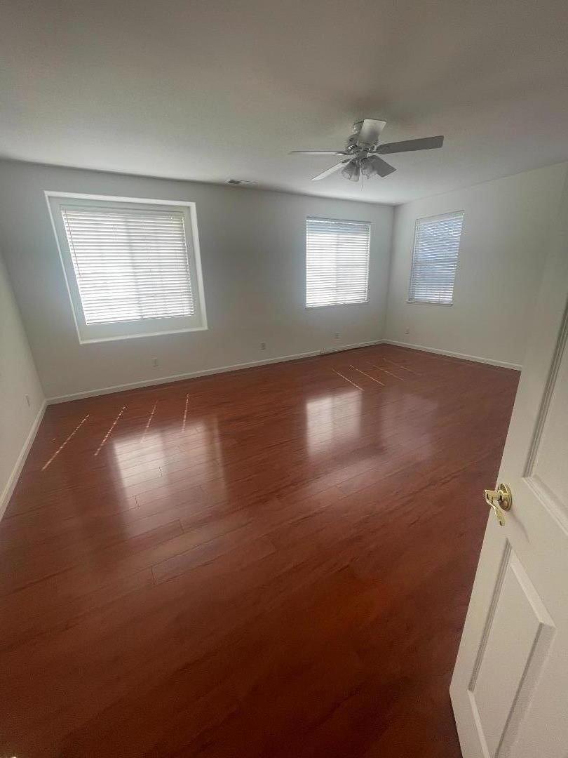 804 Romani CT