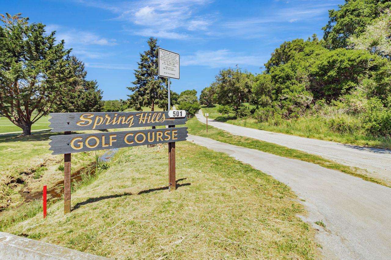 501 Spring Hills DR