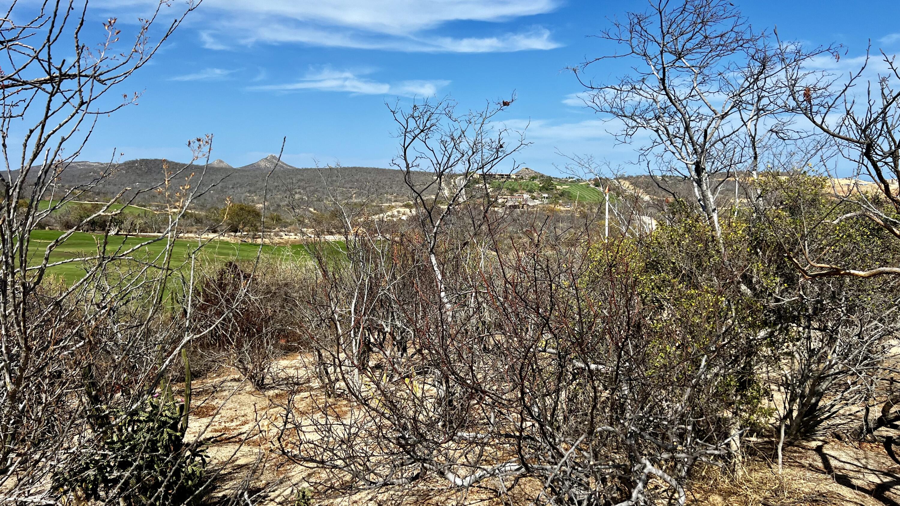 65 Mission San Felipe, El Altillo