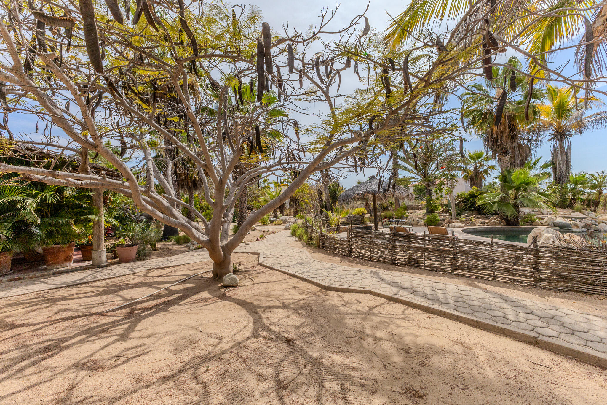 Beach side Estate