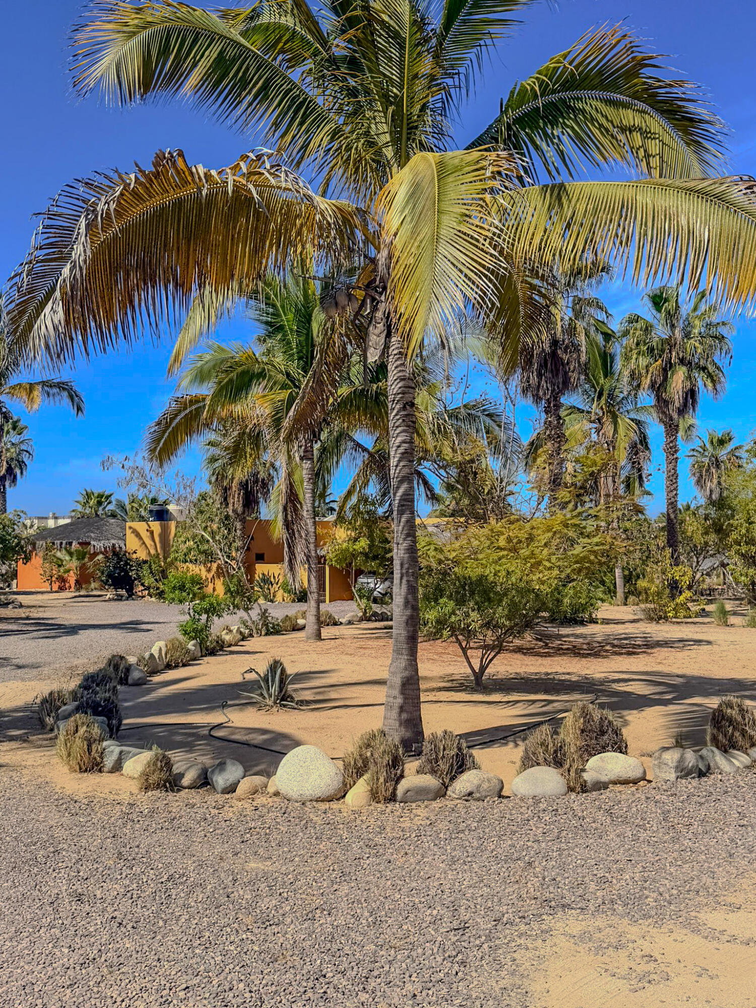 Beach side Estate