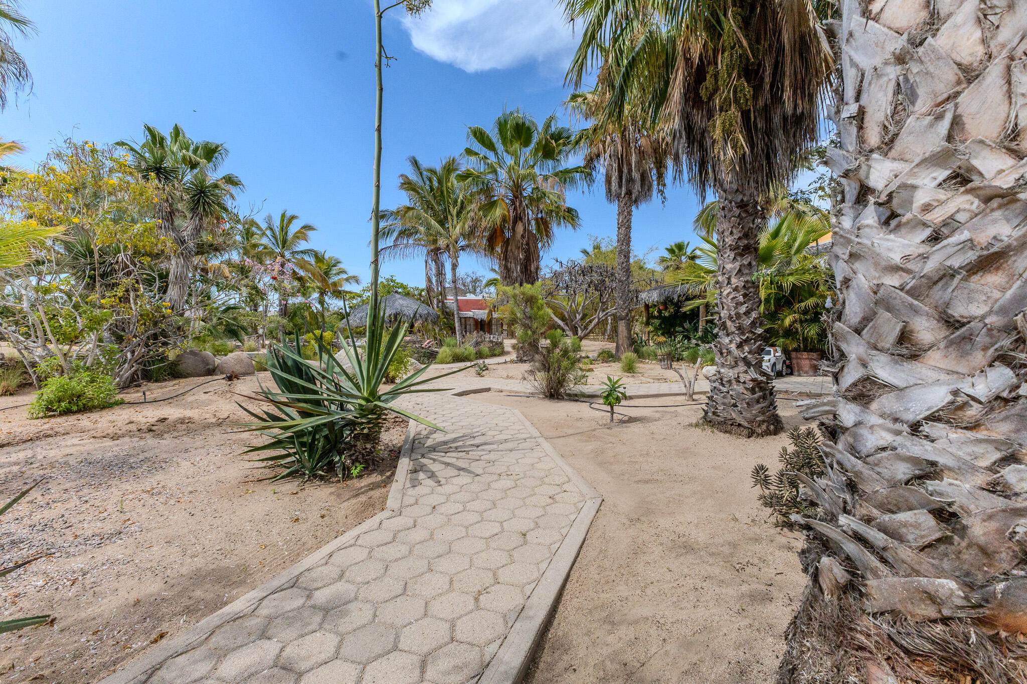 Beach side Estate