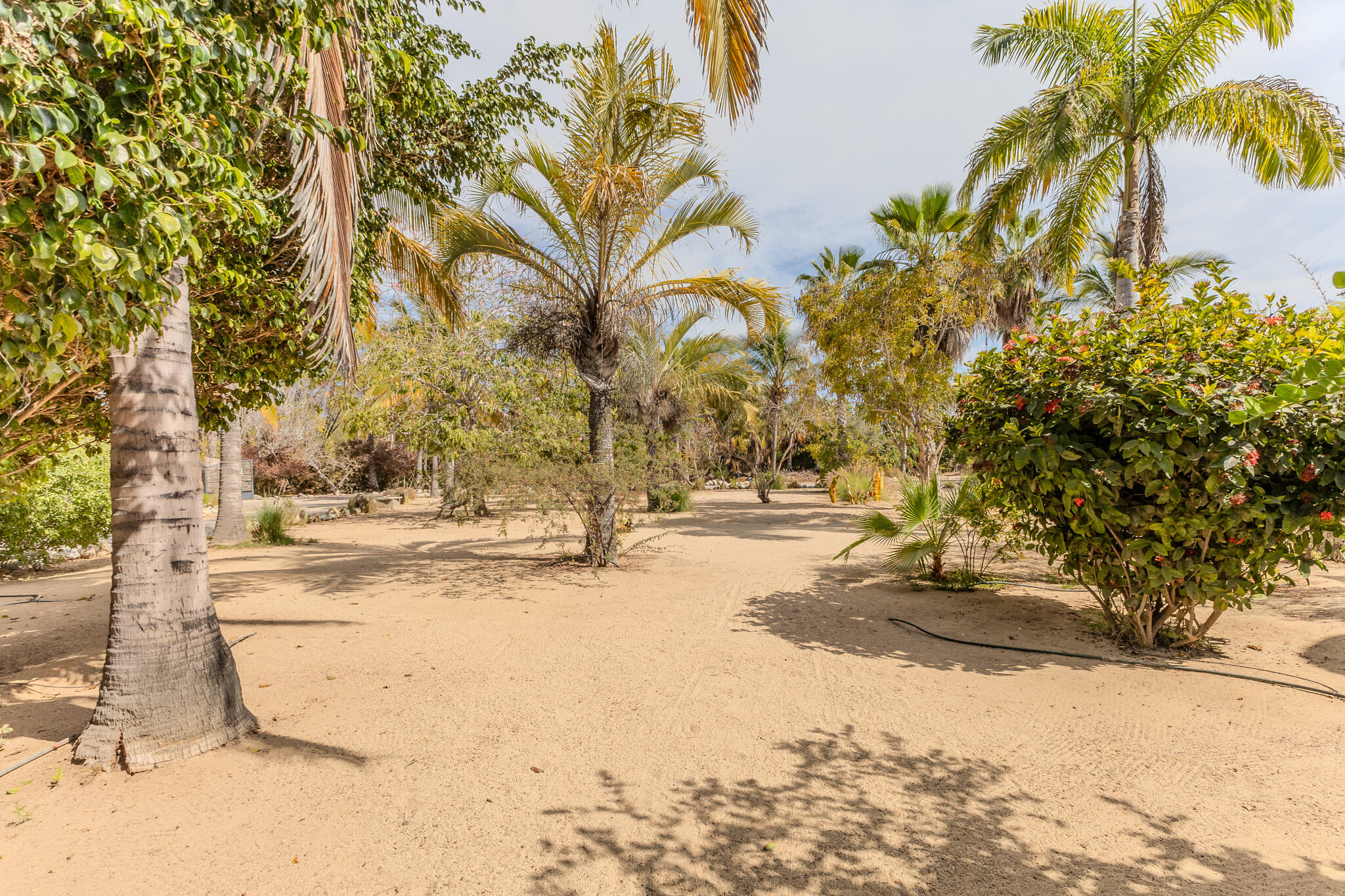 Beach side Estate