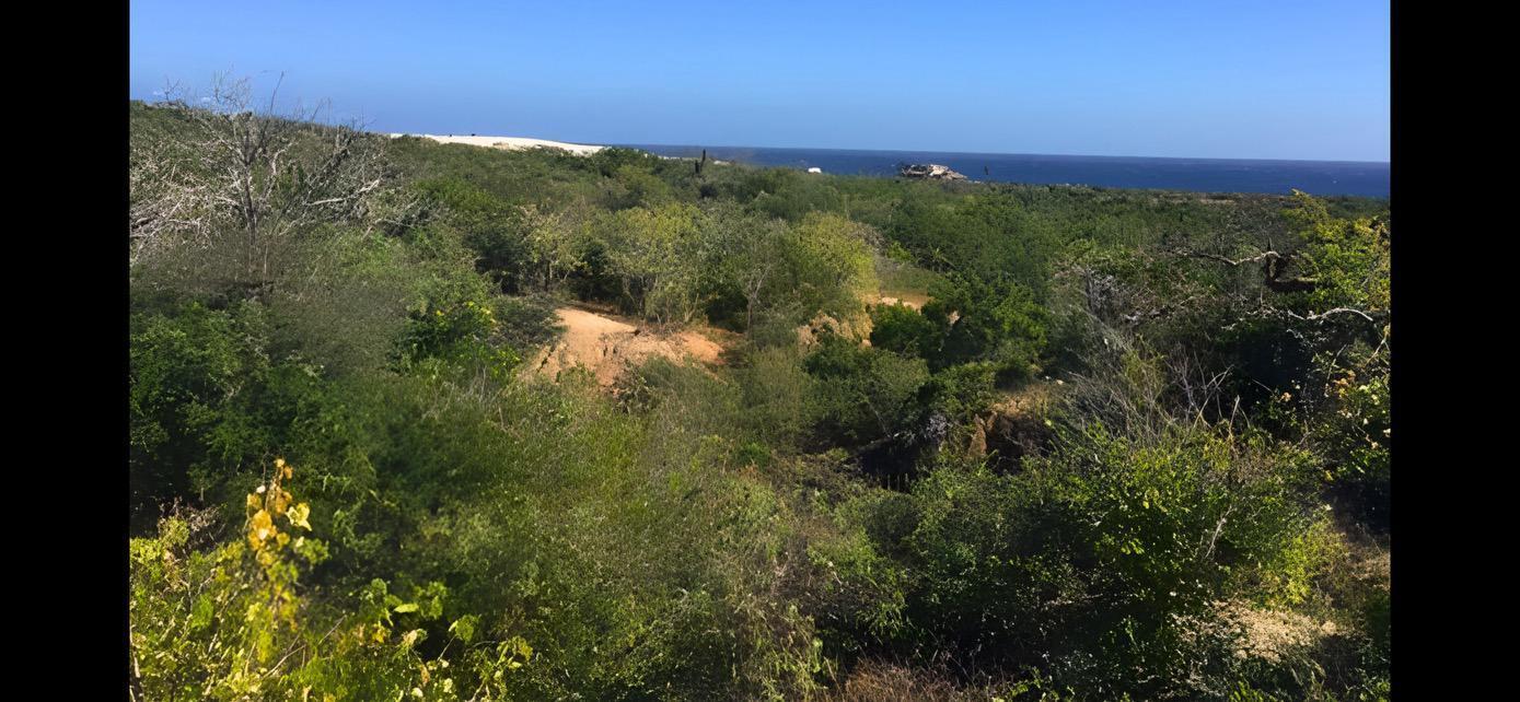 Boca Del Salado