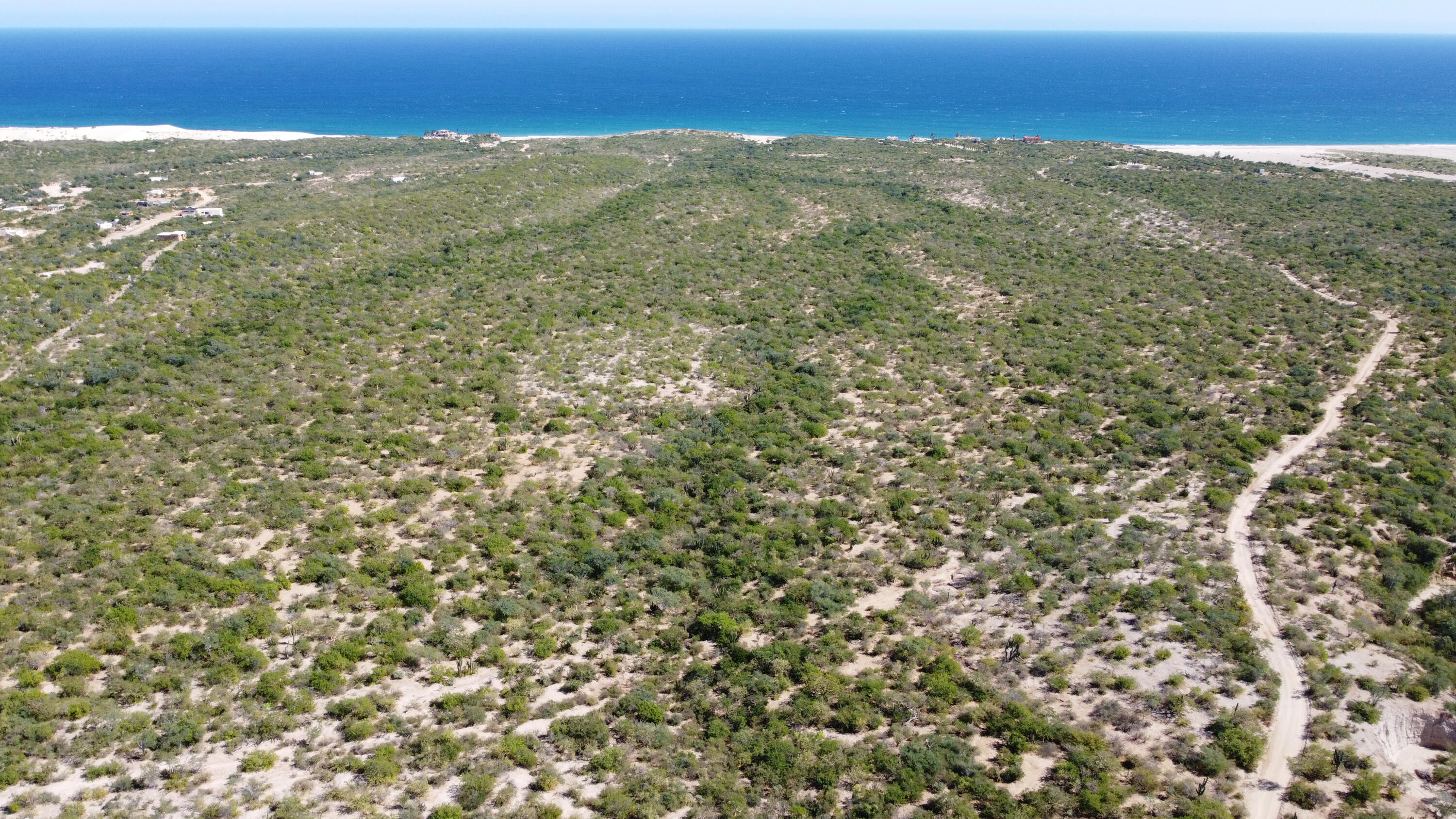 Boca Del Salado