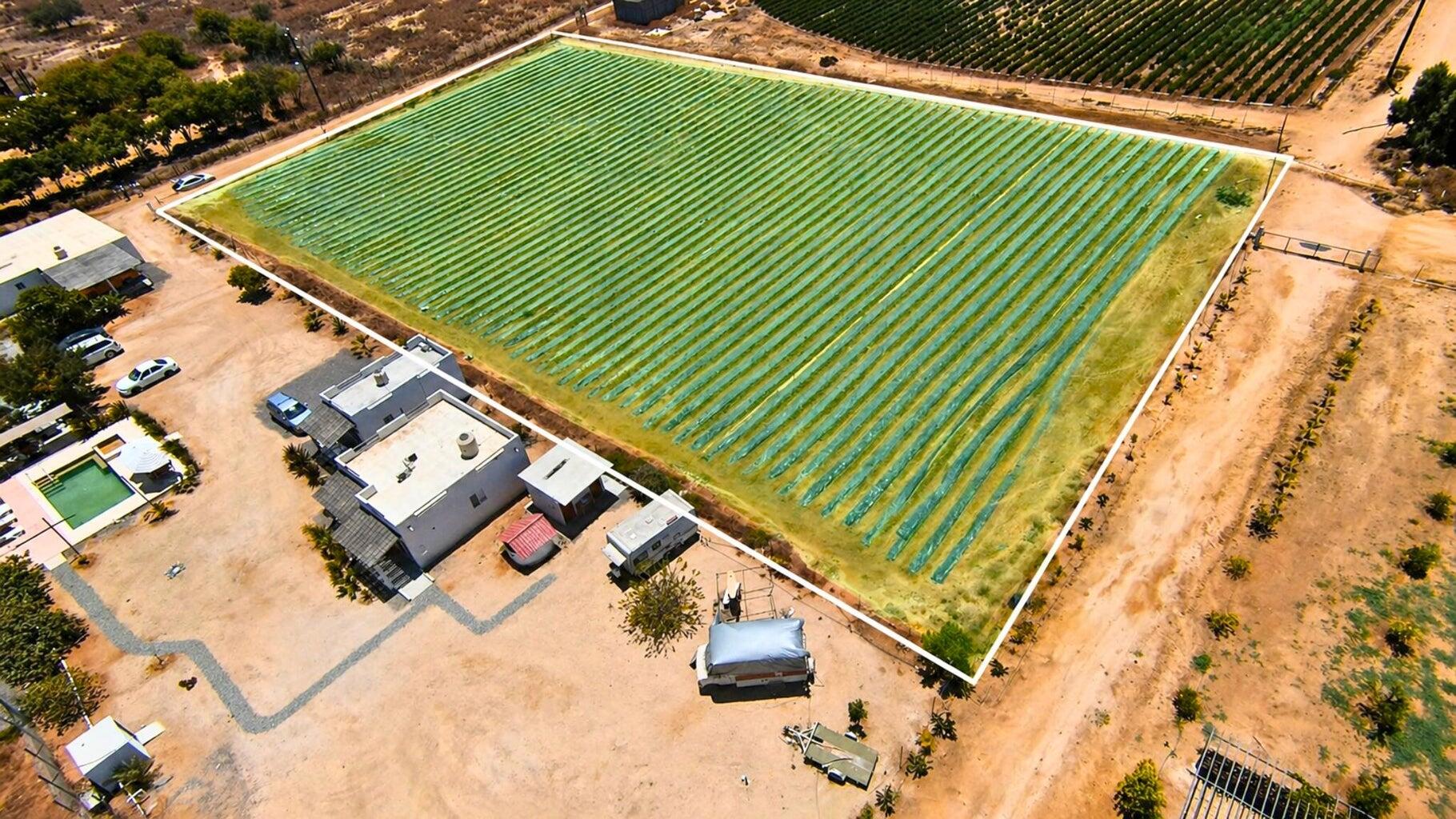 Veggie’s Land