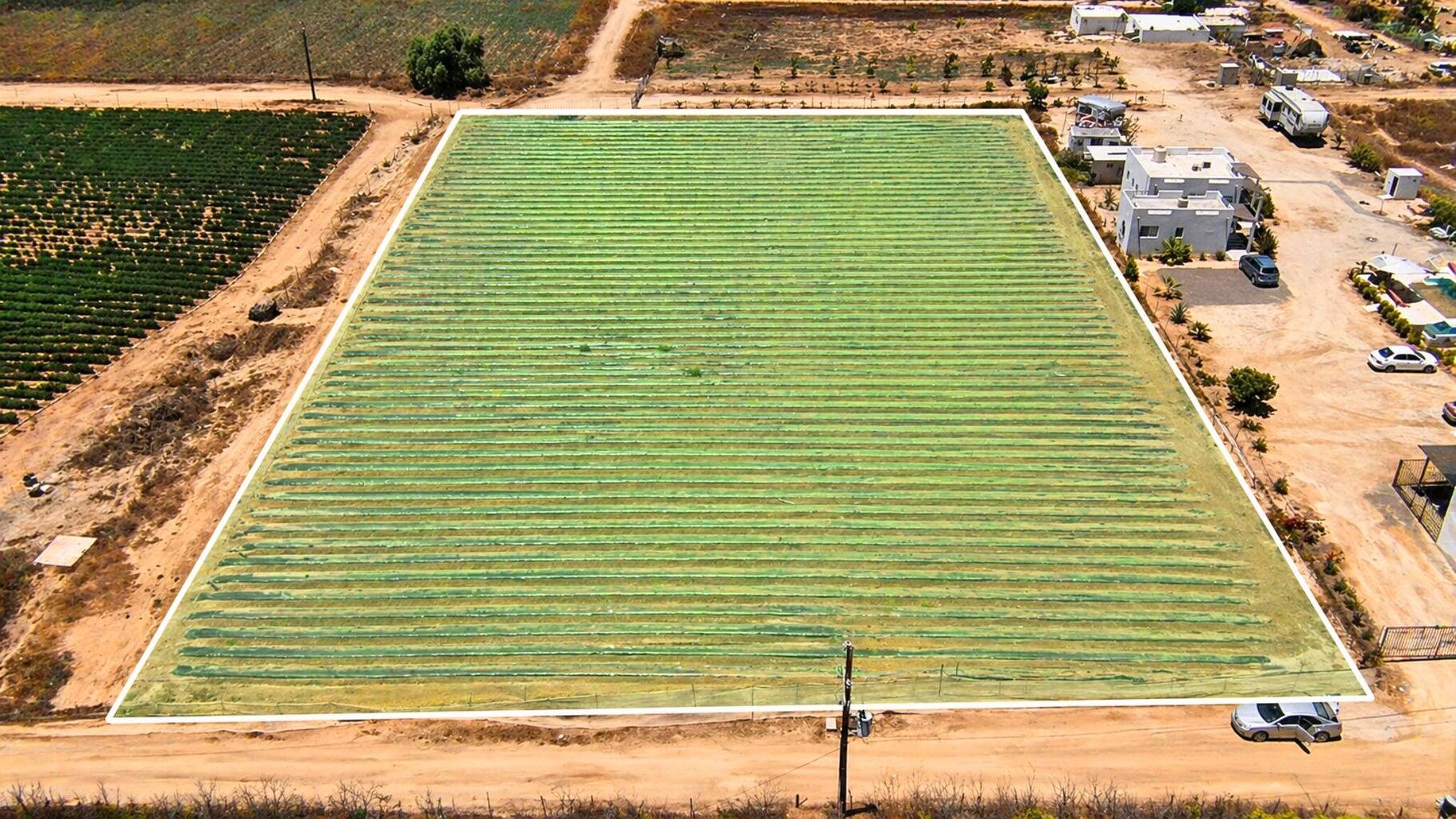 Veggie’s Land
