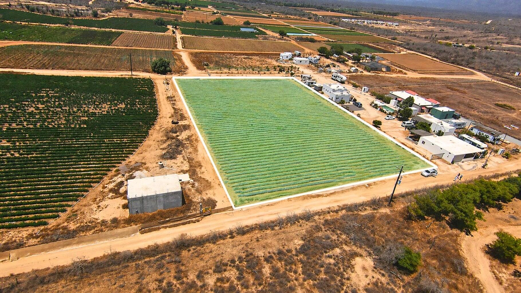 Veggie’s Land