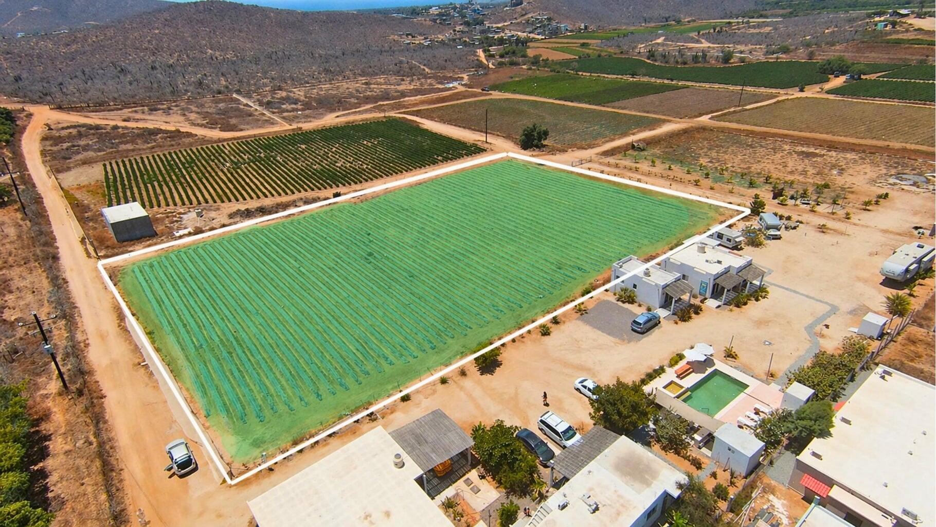 Veggie’s Land