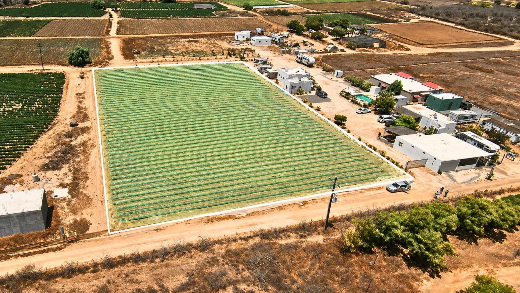 Veggie’s Land