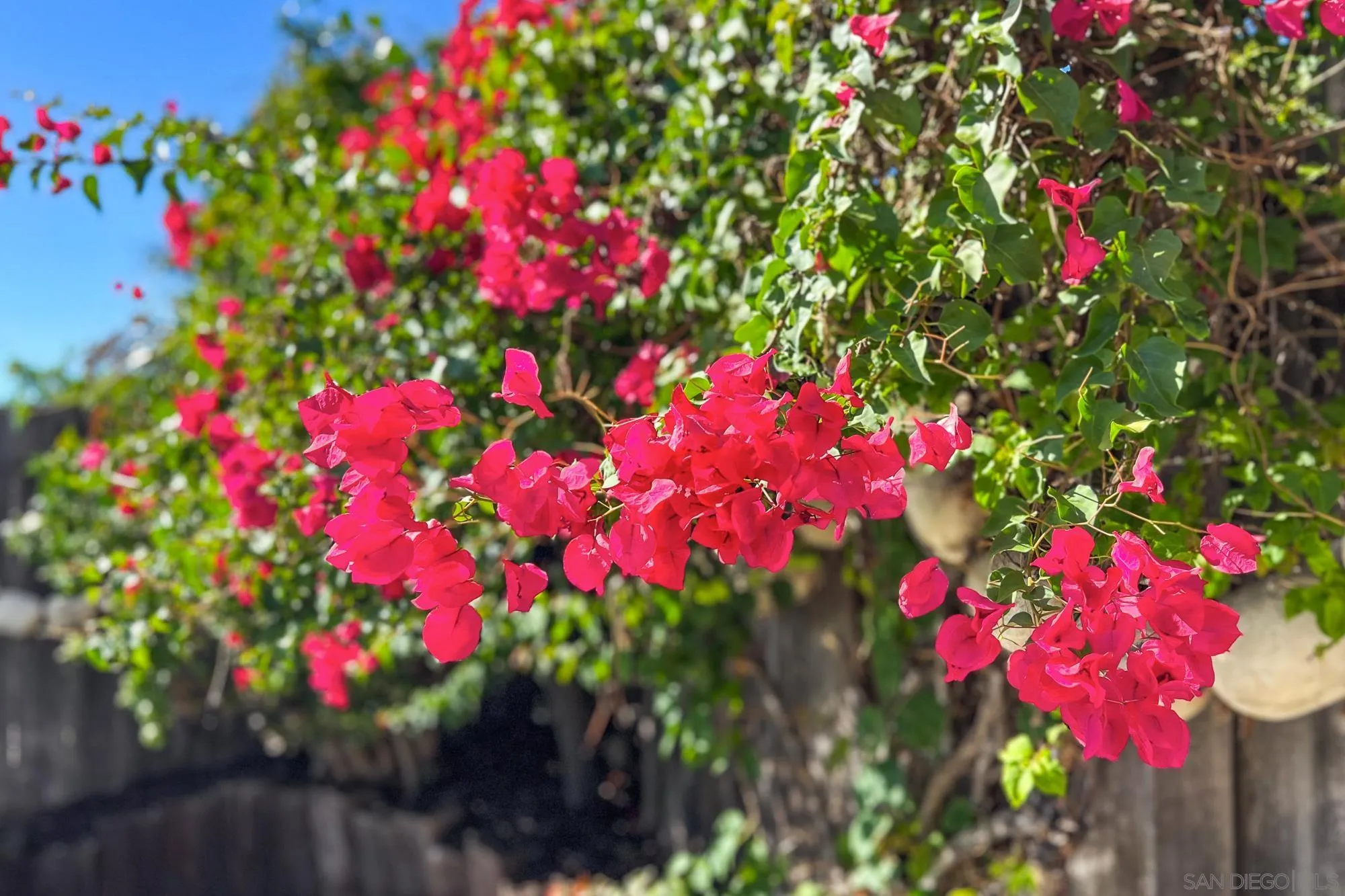 8318 Ridge Route, San Diego