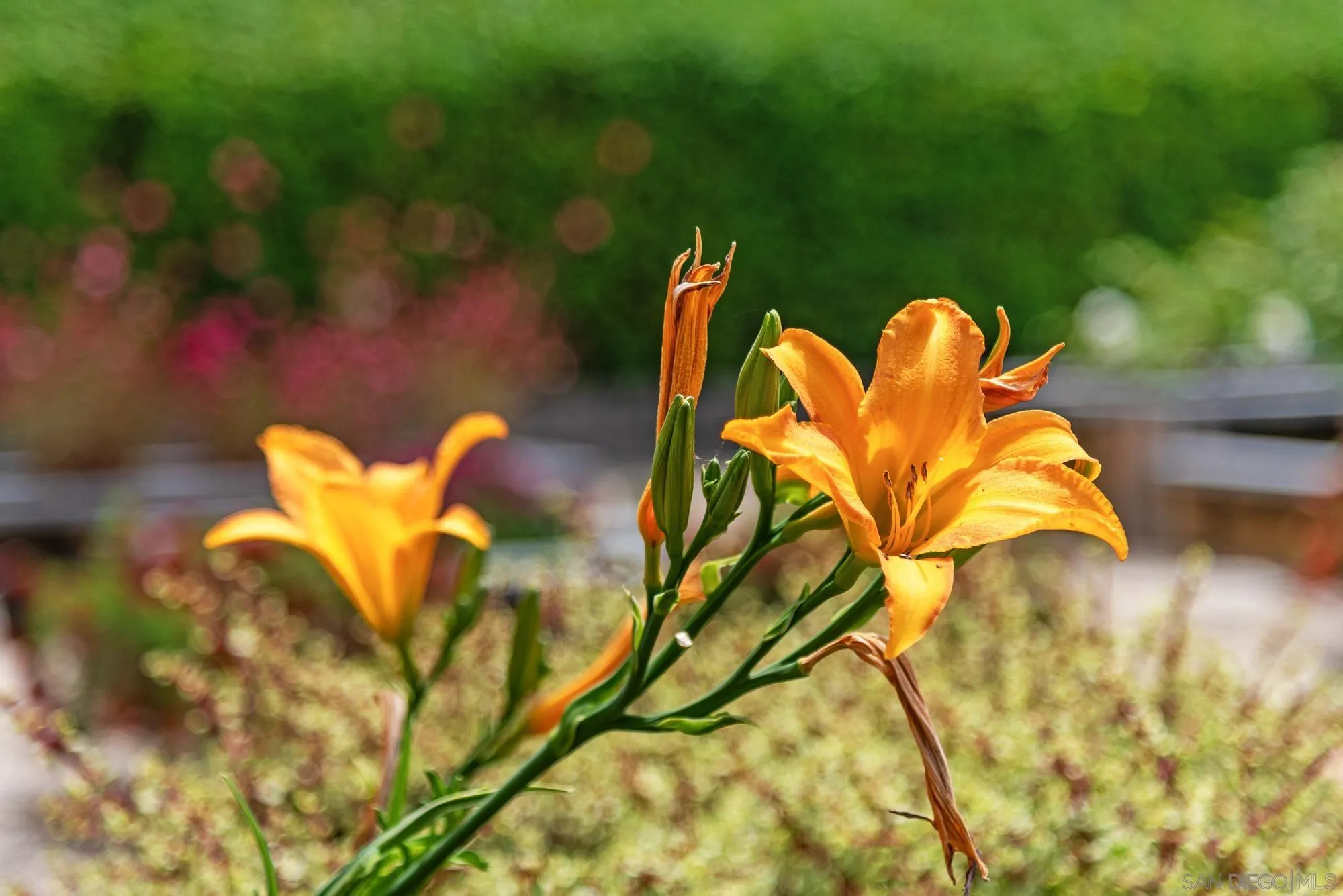 6107 Lourdes Terrace