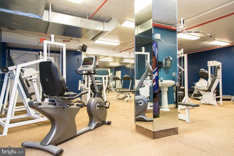 1324 LOCUST STREET 317