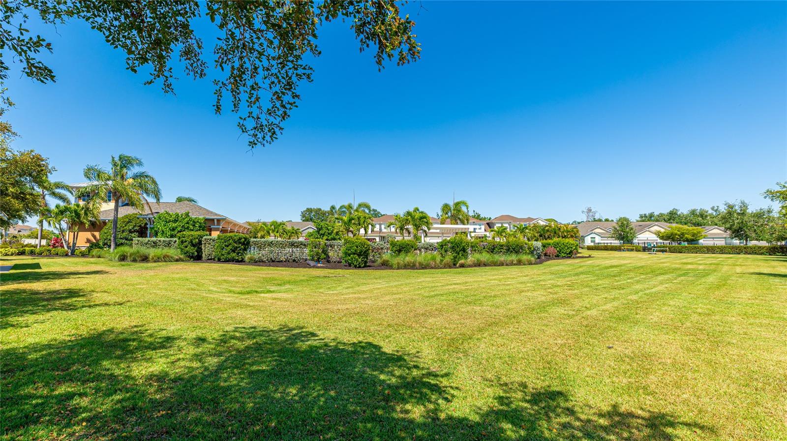 3684 FESCUE LN