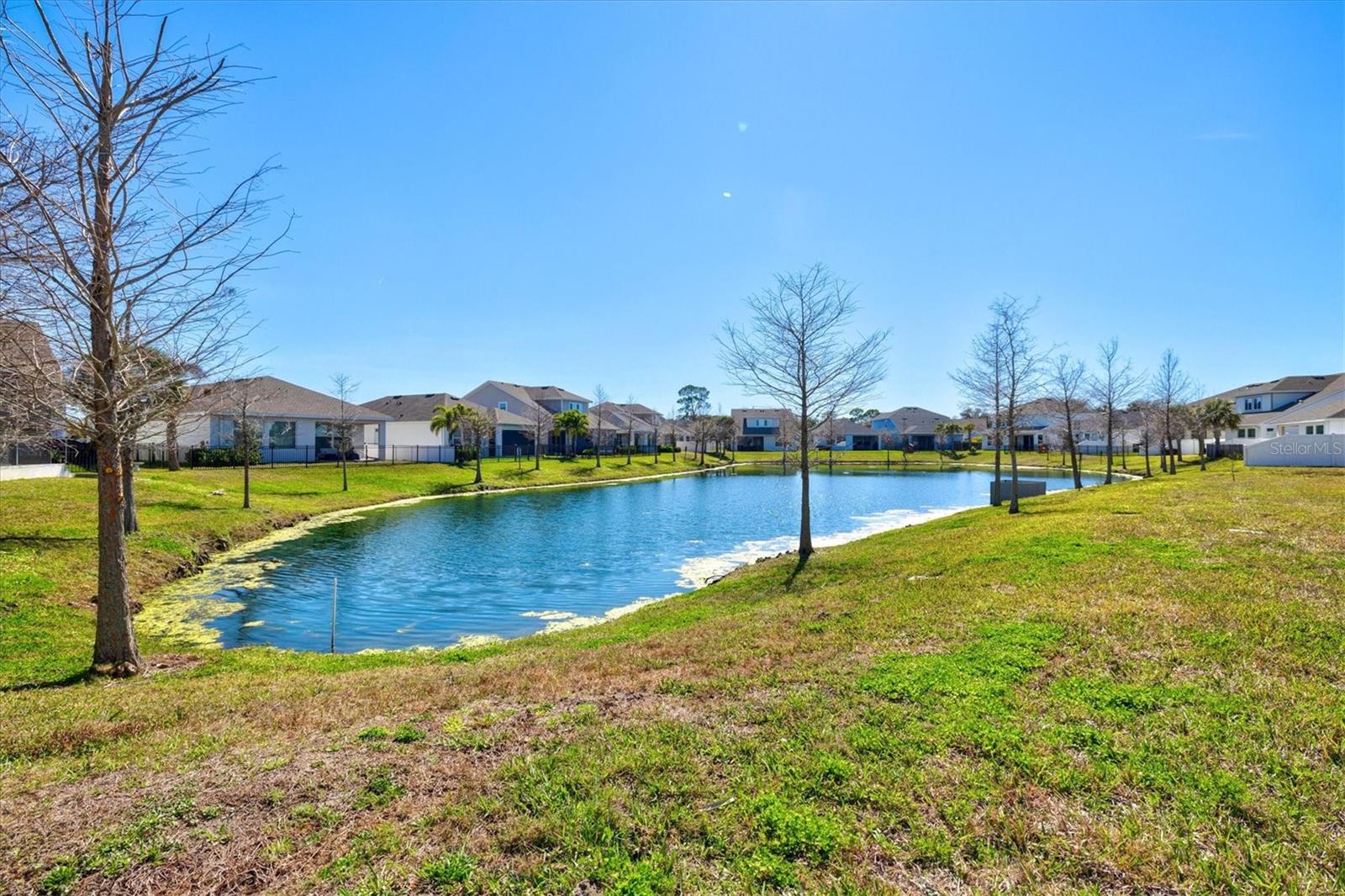 5429 SPANISH MOSS CV