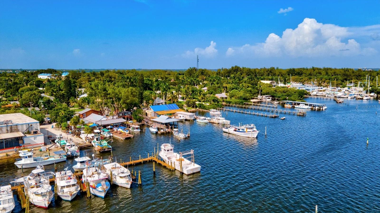 5429 SPANISH MOSS CV