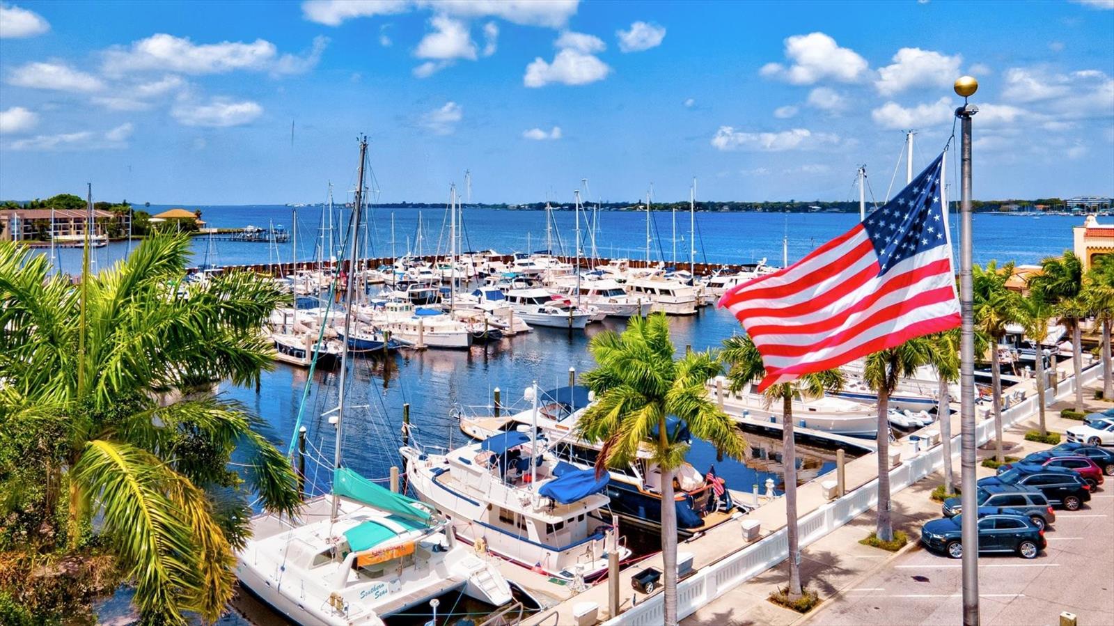 5429 SPANISH MOSS CV