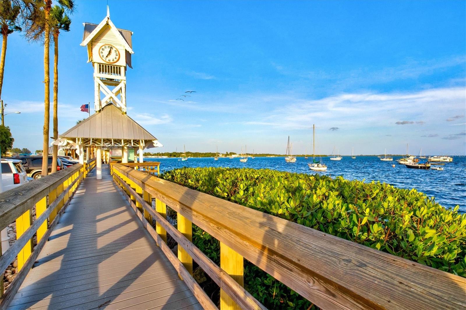 5429 SPANISH MOSS CV