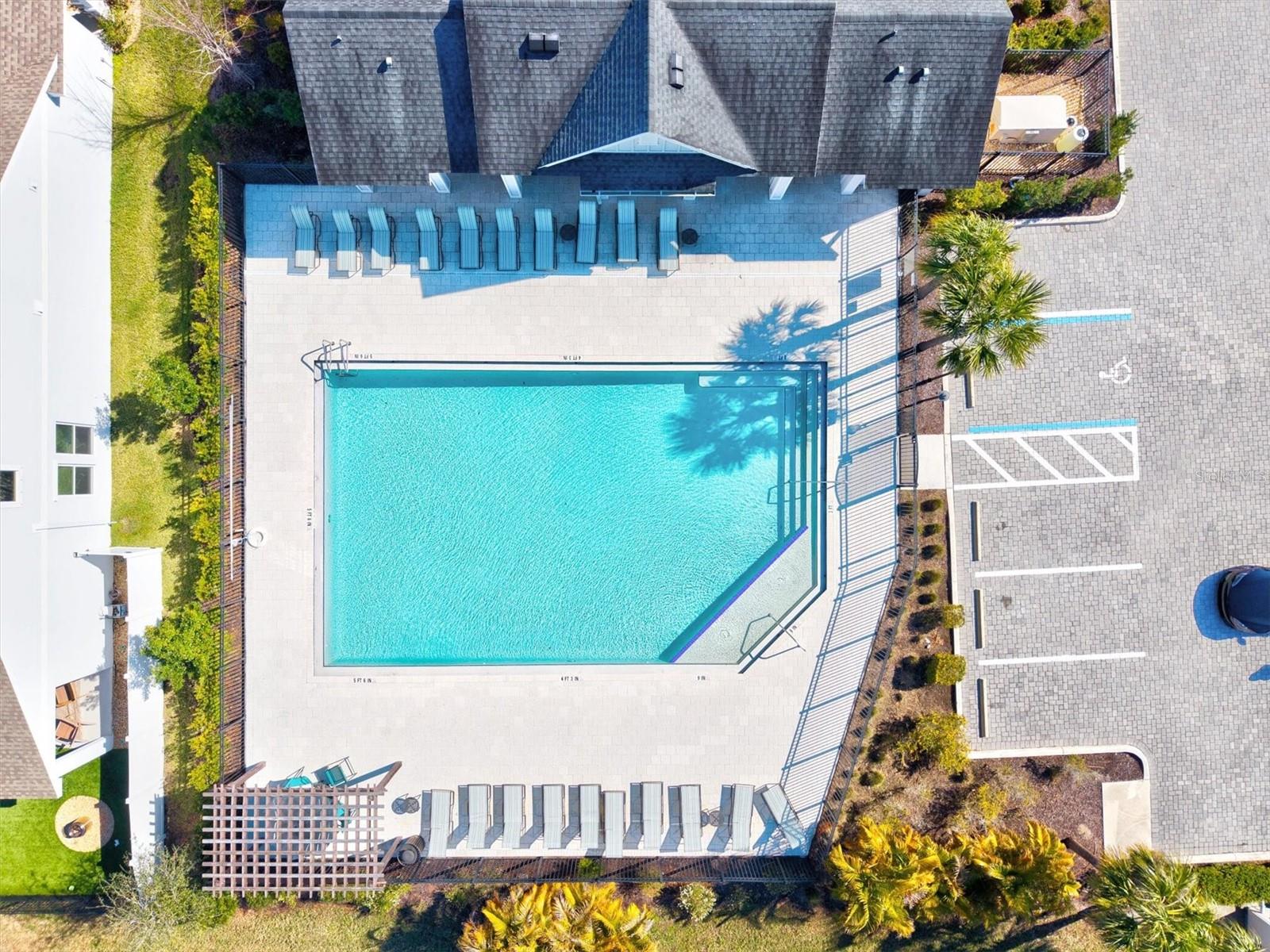 5429 SPANISH MOSS CV