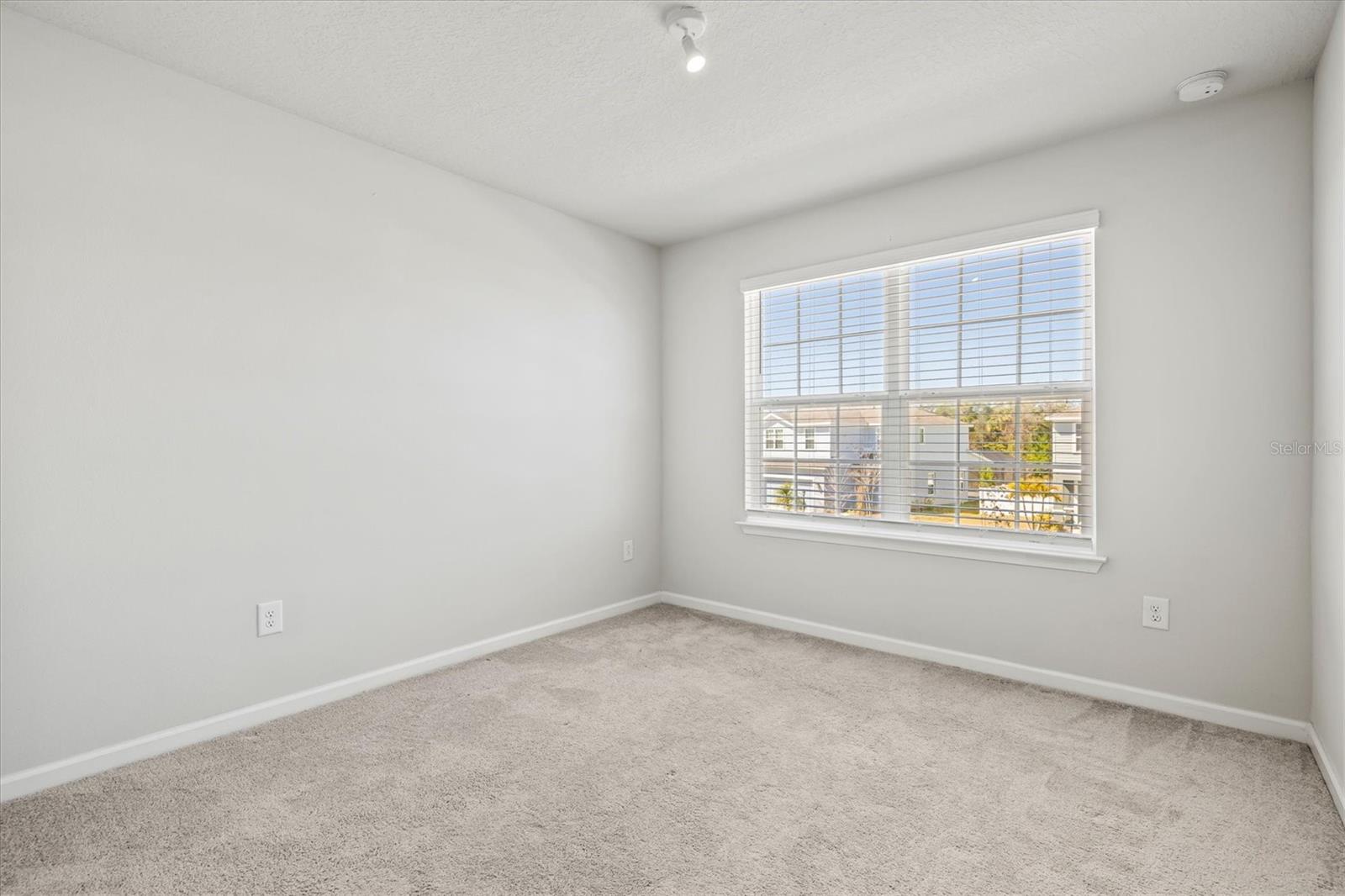 5429 SPANISH MOSS CV